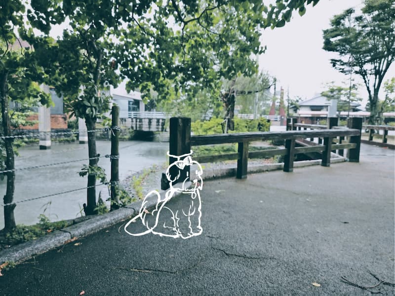 柳川市立図書館の前につながれたいぬ。
